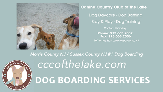 Overnight Dog Boarding Lake Hopatcong NJ