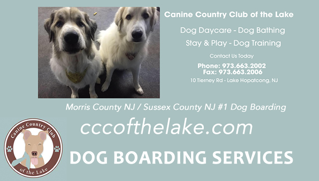 Dog Care Services Lake Hopatcong NJ